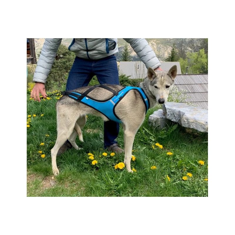 Inlandsis – Harnais Blizzard Beast