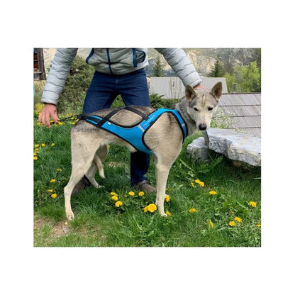 Inlandsis – Harnais Blizzard Beast