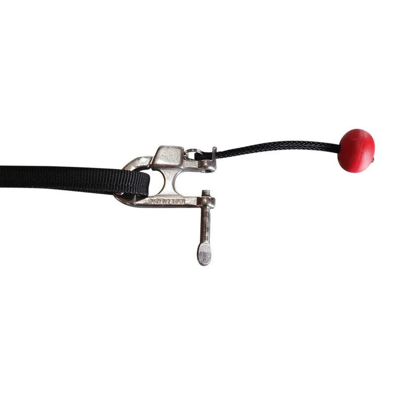 Inlandsis – Skijor Pro