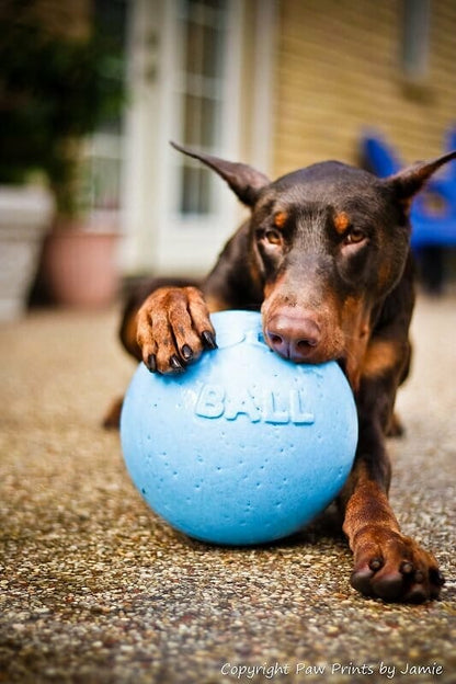 Jolly Pets – Ballon Bounce-n-Play