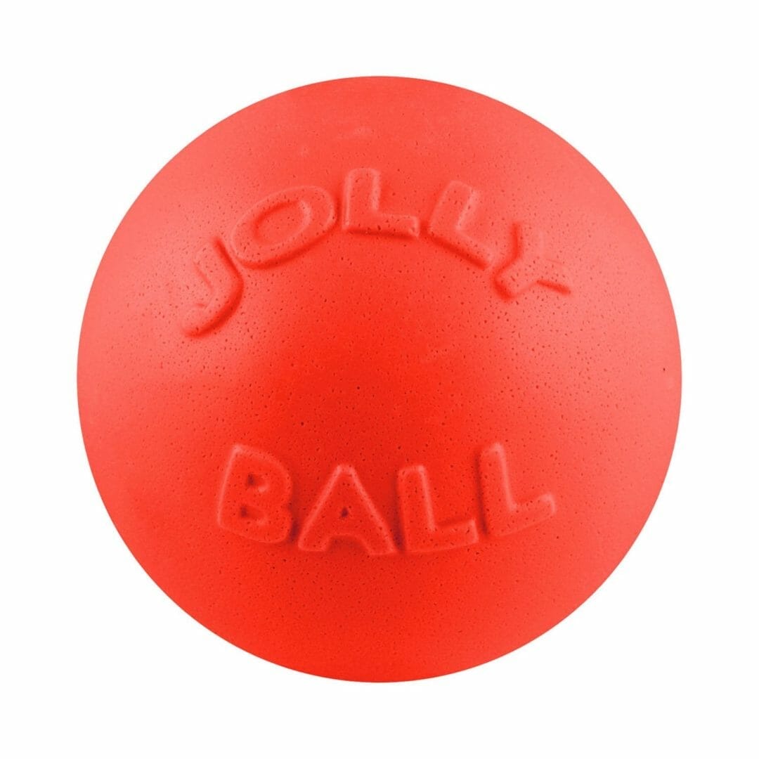 Jolly Pets – Ballon Bounce-n-Play
