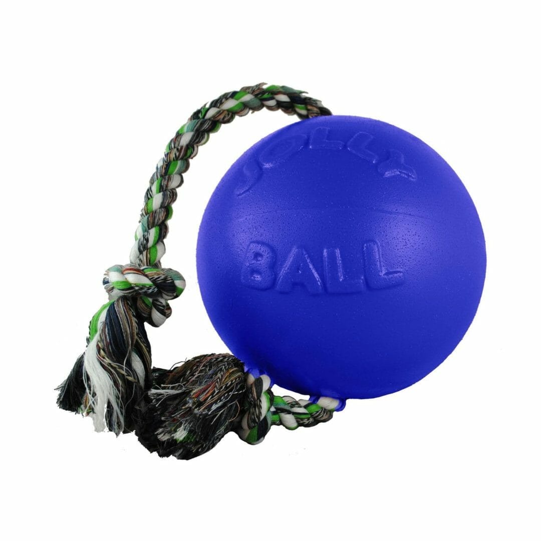 Jolly Pets – Ballon flottant avec corde Romp-n-Roll
