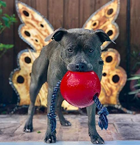 Jolly Pets – Ballon flottant avec corde Romp-n-Roll