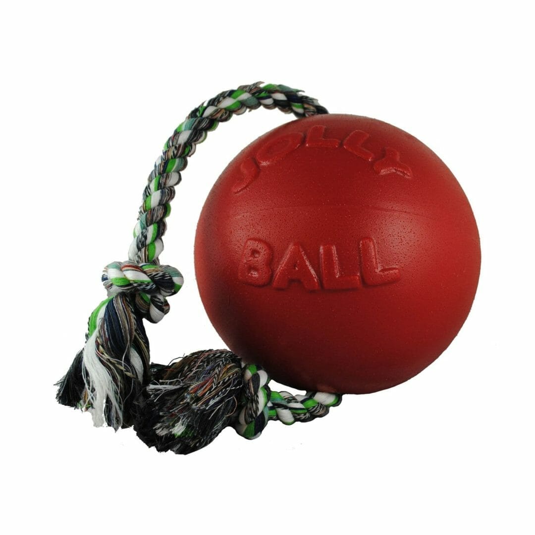Jolly Pets – Ballon flottant avec corde Romp-n-Roll