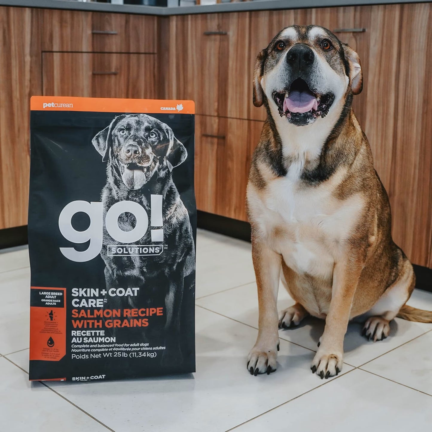 Petcurean – Go! Solutions - Peau + Poils – Adulte grande race - Saumon