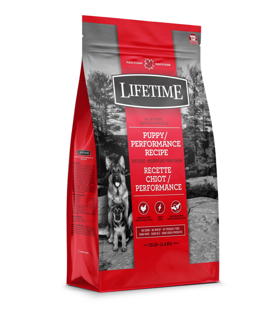 Lifetime – Chiot performance