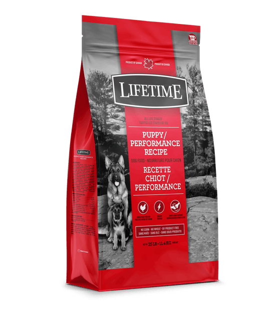 Lifetime – Chiot performance