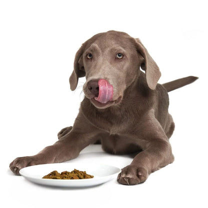 Smack – Nourriture crue déshydratée pour chien – Agneau