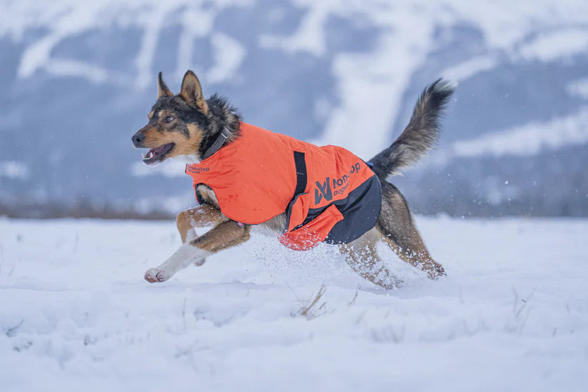 Non-Stop – Veste d'hiver - Long distance +