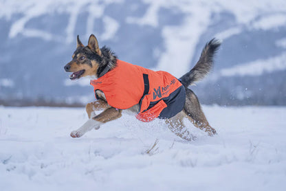 Non-Stop – Veste d'hiver - Long distance +