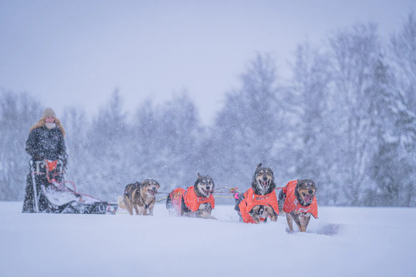 Non-Stop – Veste d'hiver - Long distance +