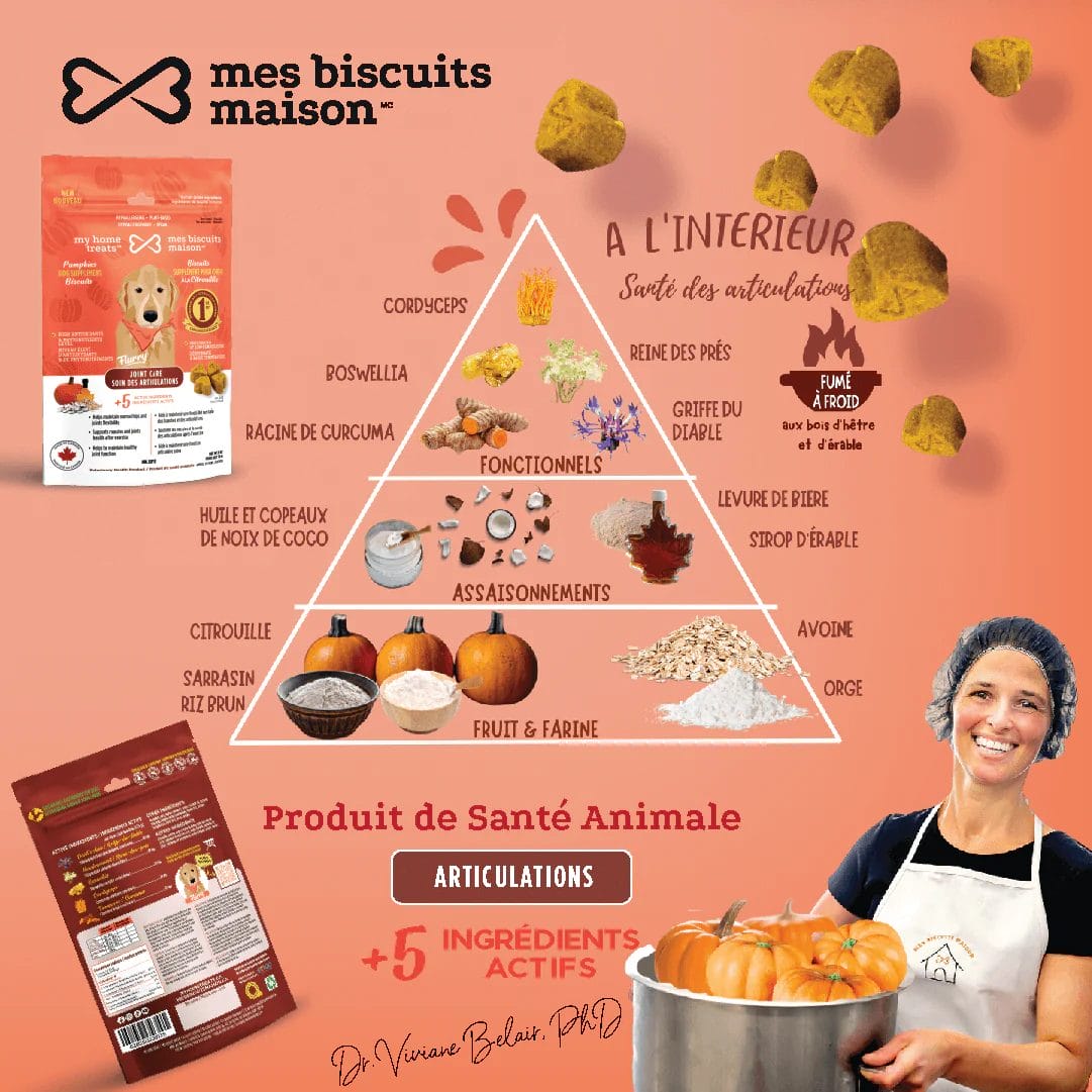 Mes biscuits maison –  Supplément hypoallergénique pour chien à la citrouille - Soin des articulations 170g
