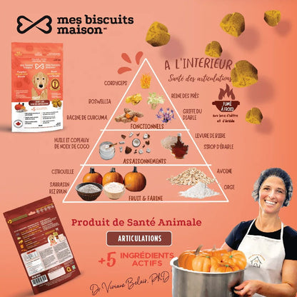 Mes biscuits maison –  Supplément hypoallergénique pour chien à la citrouille - Soin des articulations 170g