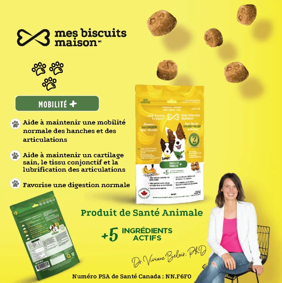 Mes biscuits maison –  Supplément hypoallergénique pour chien aux bananes - Mobilité+ 170g