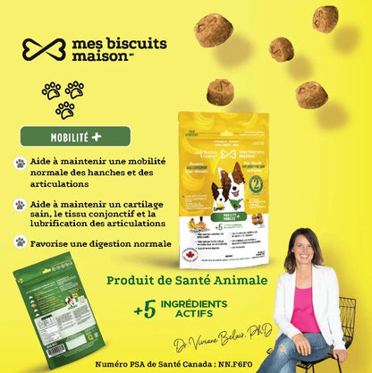 Mes biscuits maison –  Supplément hypoallergénique pour chien aux bananes - Mobilité+ 170g