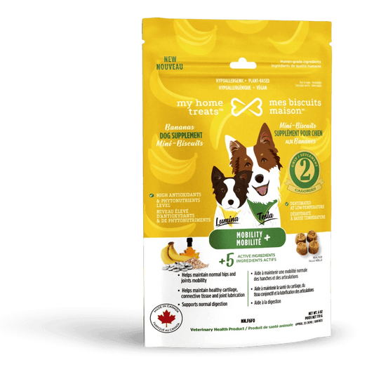 Mes biscuits maison –  Supplément hypoallergénique pour chien aux bananes - Mobilité+ 170g