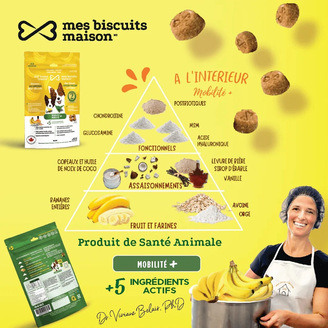 Mes biscuits maison –  Supplément hypoallergénique pour chien aux bananes - Mobilité+ 170g