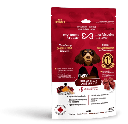 Mes biscuits maison –  Supplément hypoallergénique pour chien aux canneberges - Santé urinaire 170g