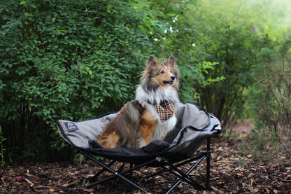 Kuma outdoor gear –  Chaise pour chien - Little lazy bear