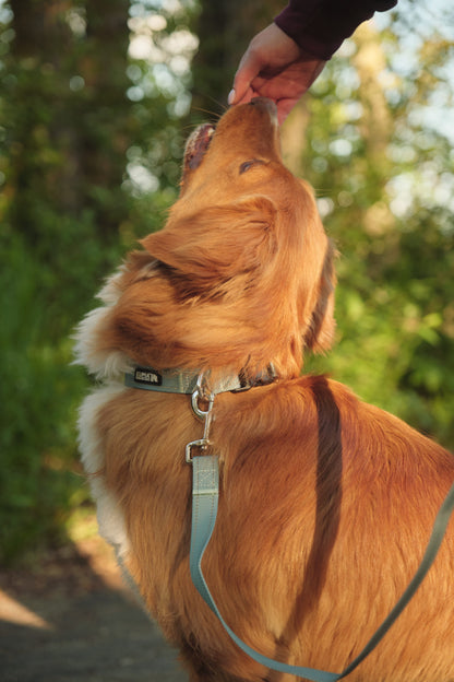 Kuma outdoor gear – Collier lazy bear