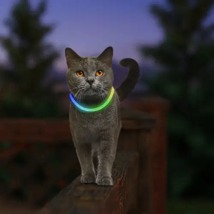 Nite Ize – NiteMeow - Collier Lumineux LED Rechargeable – Choix de 3 couleurs