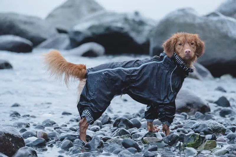 Hurtta – Manteau imperméable - Downpour suit