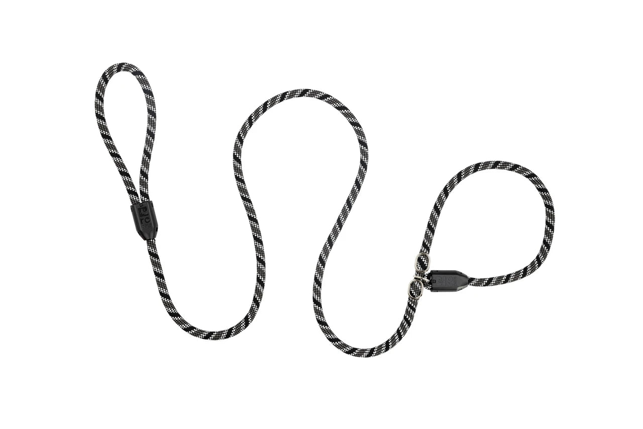 Rcpets – Laisse lasso en corde