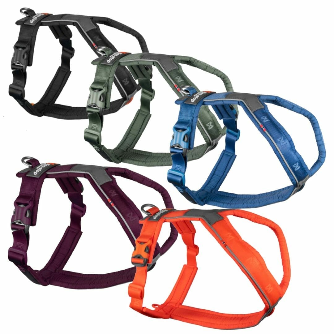 Non-Stop – Harnais Line 5.0