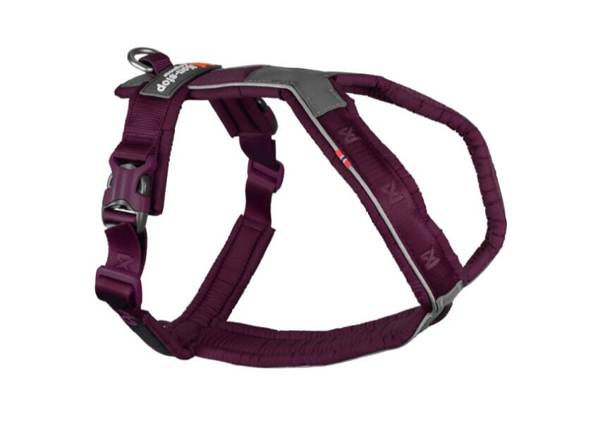 Non-Stop – Harnais Line 5.0