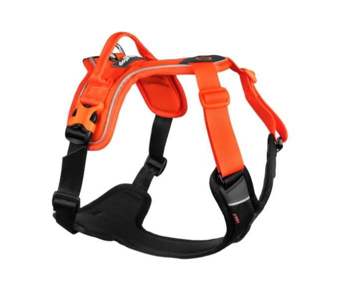 Non-Stop – Harnais ajustable Ramble