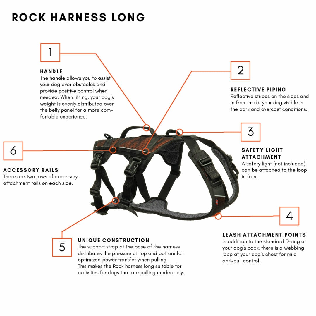 Non-Stop – Harnais Rock Harness Long