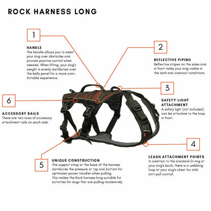 Non-Stop – Harnais Rock Harness Long