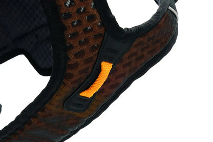 Non-Stop – Harnais Rock Harness Long