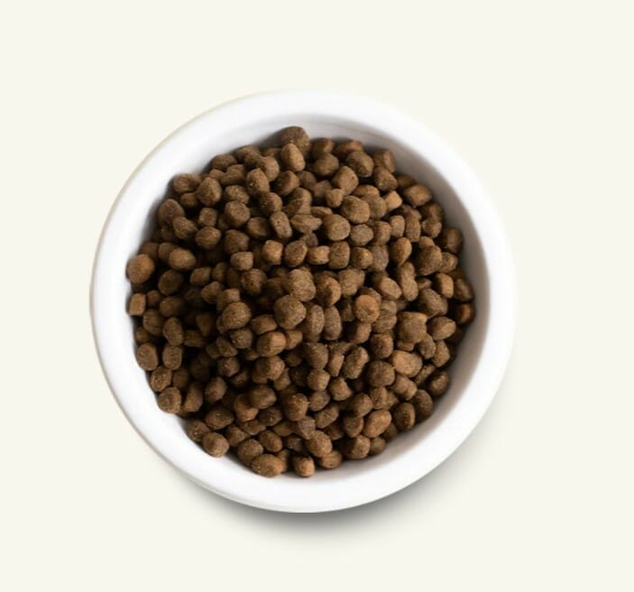 Open Farm – Recette pour chien senior – Sans grains