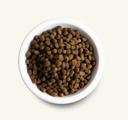 Open Farm – Recette pour chiots – Grains anciens