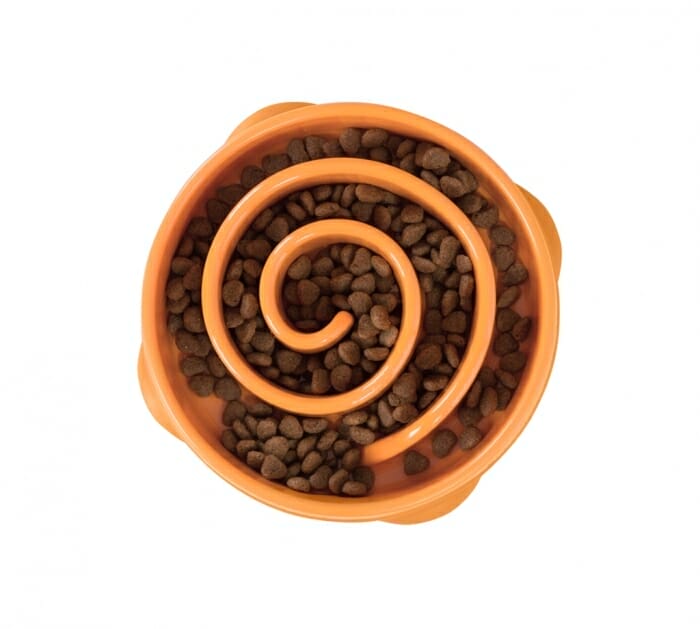 Outward Hound – Bol Ralentisseur Fun Feeder