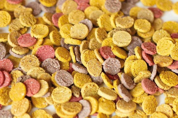 Todd & Paul – Pastilles d'entraînement – Saveurs assorties