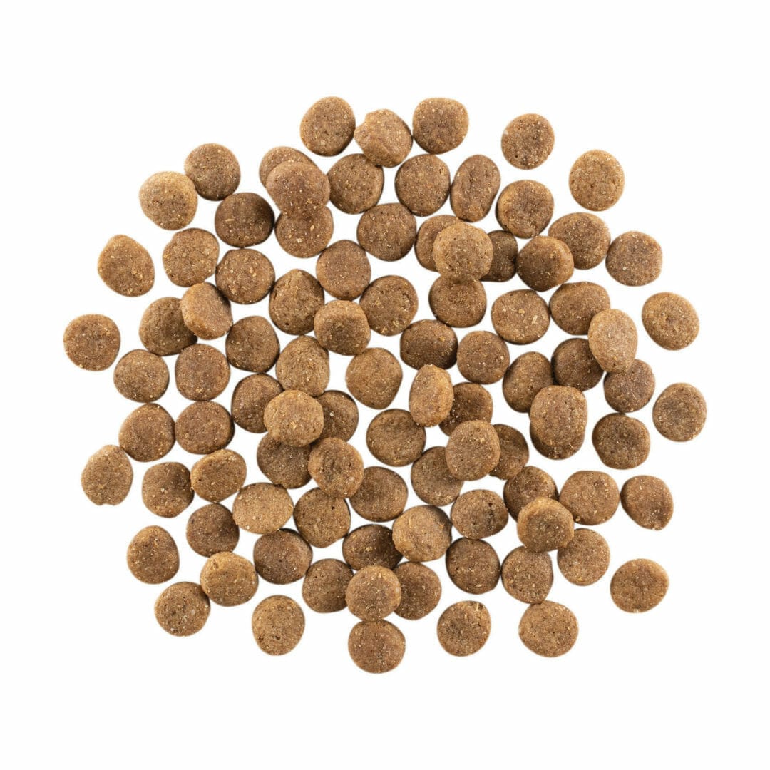 Petcurean – Go! Solutions - Peau + Poils – Agneau