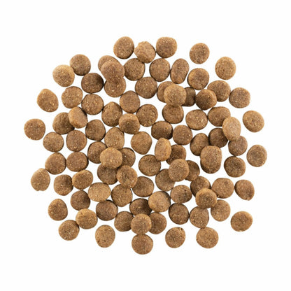 Petcurean – Go! Solutions - Peau + Poils – Saumon