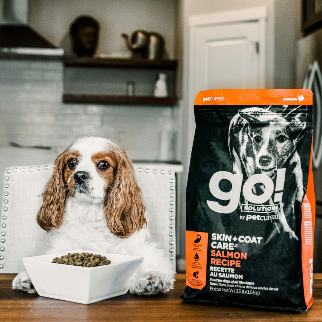 Petcurean – Go! Solutions - Peau + Poils – Saumon