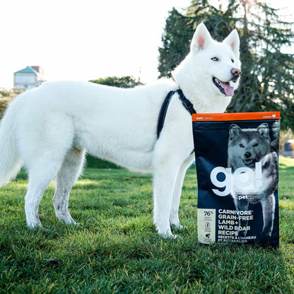 Petcurean – Go! Solutions - Carnivore – Sans Grains - Agneau + Sanglier
