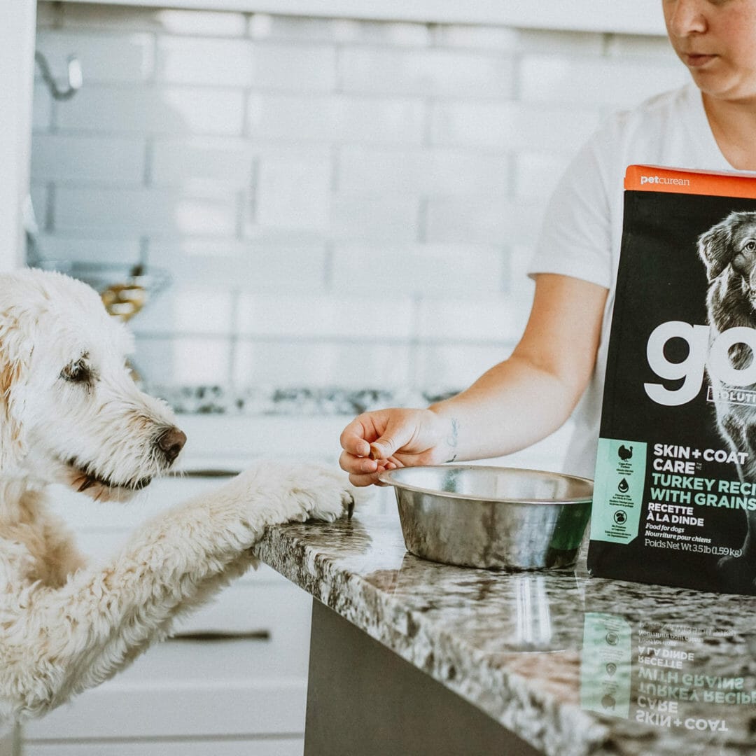 Petcurean – Go! Solutions - Peau + Poils – Dinde