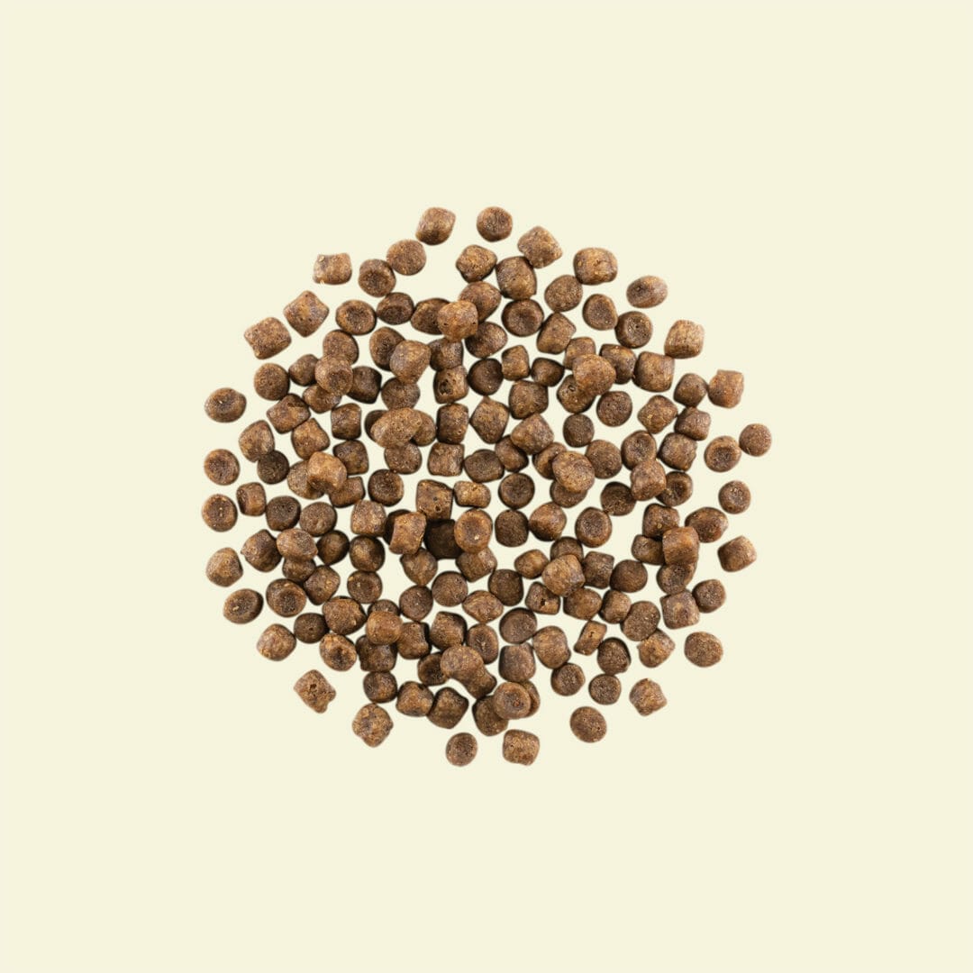 Petcurean – Now Fresh Sans Grains – Dinde/Saumon/Canard