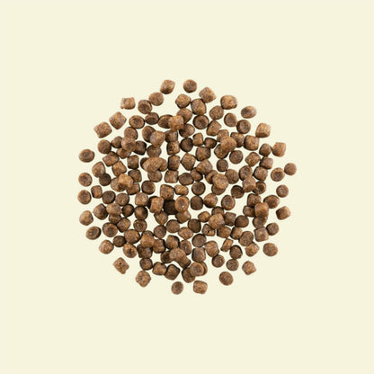 Petcurean – Now Fresh Sans Grains – Dinde/Saumon/Canard