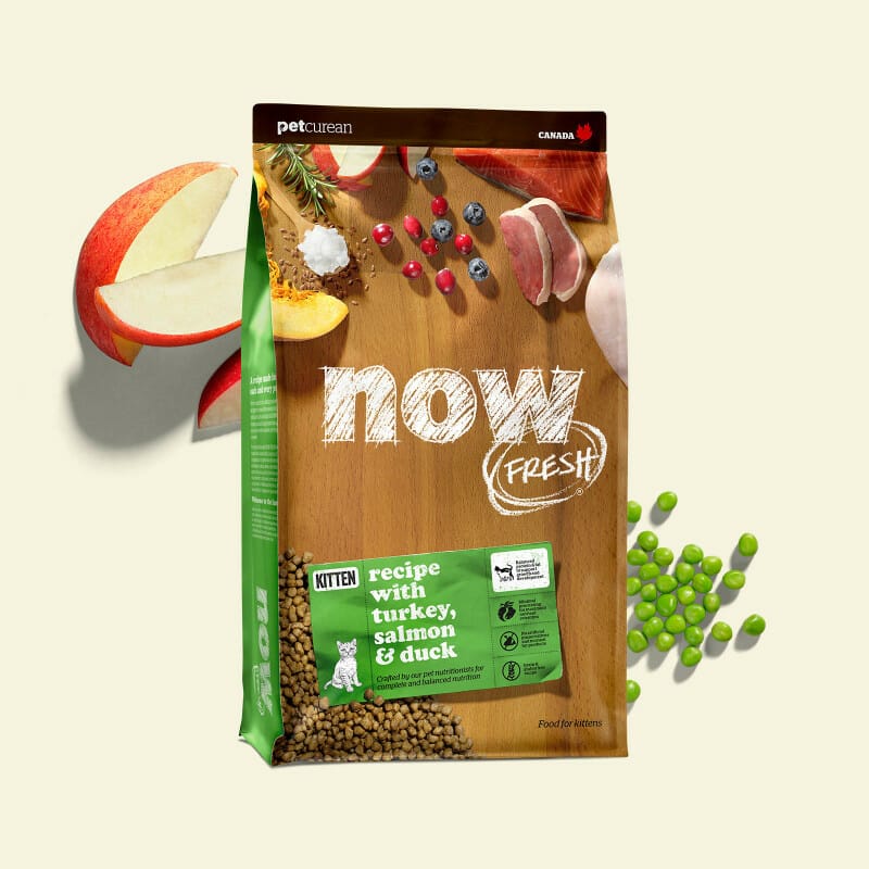 Petcurean – Now Fresh Sans Grains – Chaton Dinde/Saumon/Canard