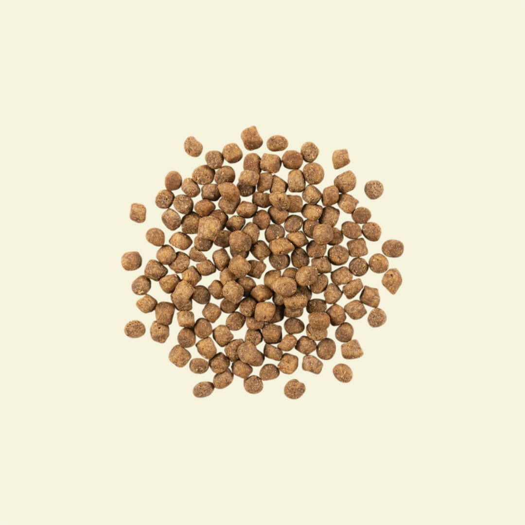 Petcurean – Now Fresh Sans Grains – Senior Dinde/Saumon/Canard
