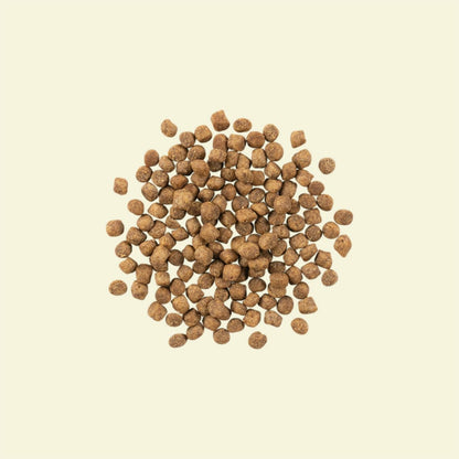 Petcurean – Now Fresh Sans Grains – Senior Dinde/Saumon/Canard