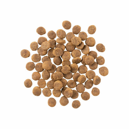 Petcurean – Go! Solutions - Ingrédients Limités – Sans Grains - Venaison