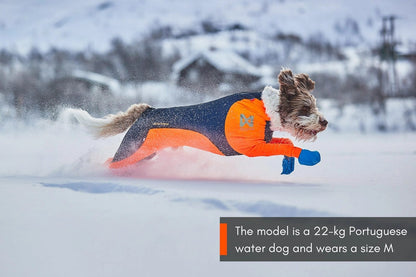Non-Stop – Protector Snow