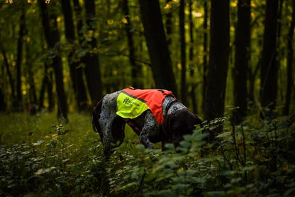 Non-Stop – Protector Vest 2.0